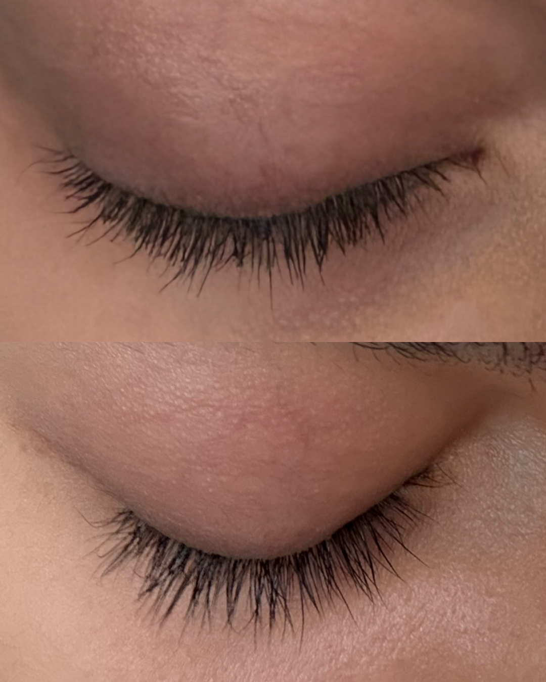 Sérum croissance des cils